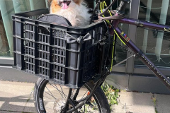 Bike-02
